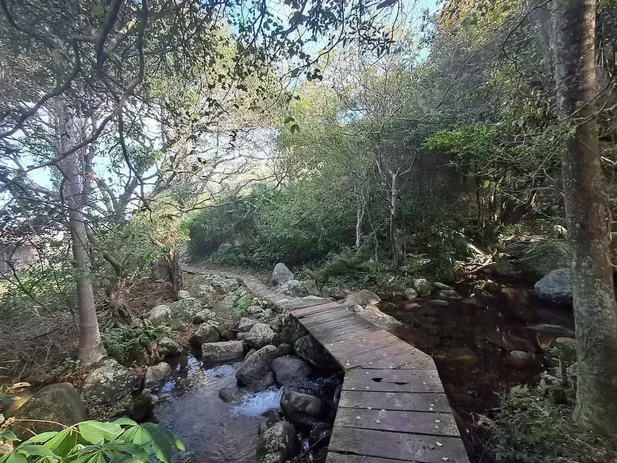 Trilha do Saquinho