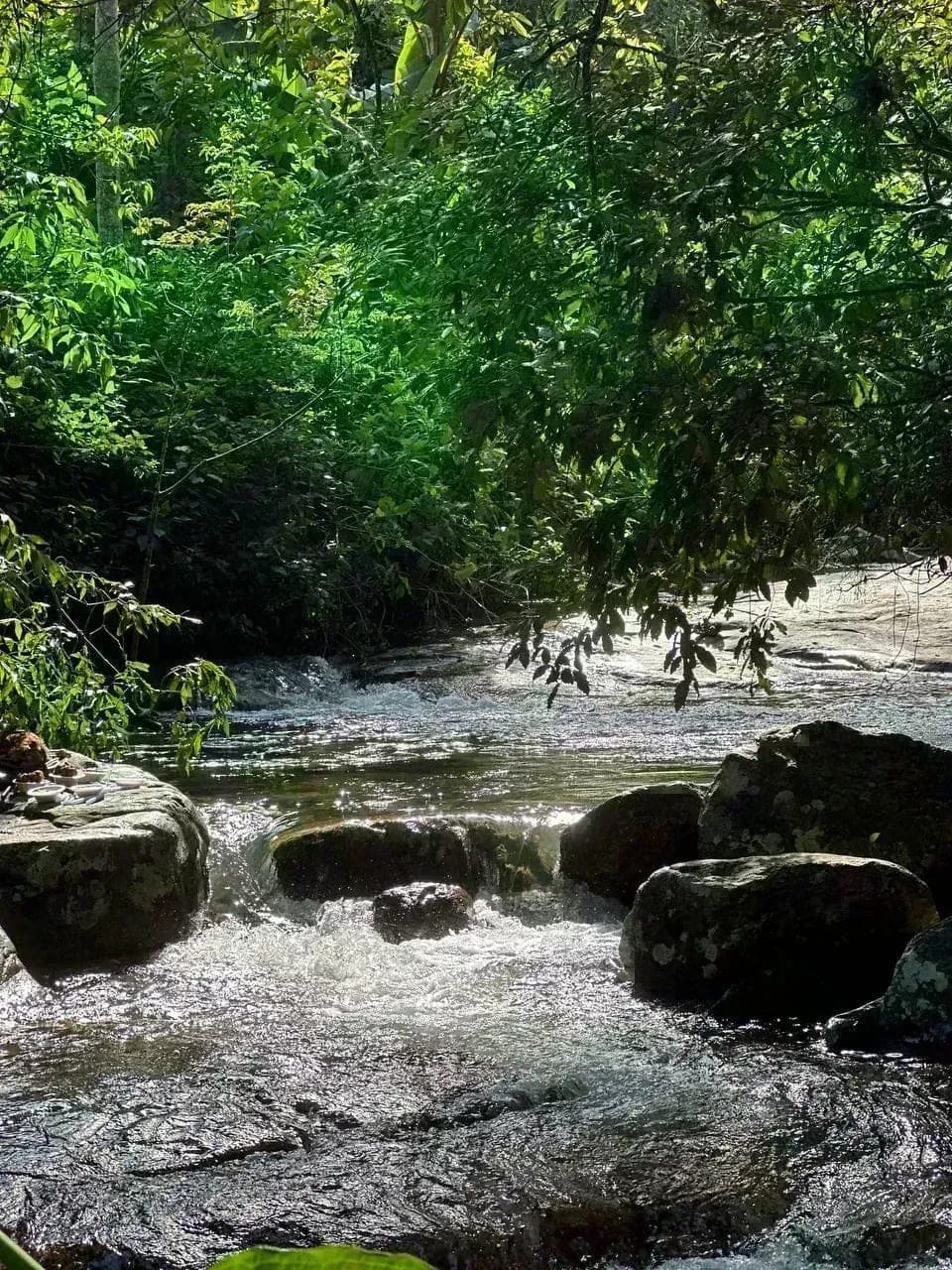 Лесной ручей и водопады вдоль тропы
